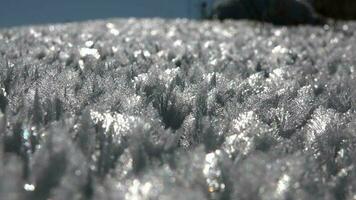Raureif Eis Kristalle und Reif Frost bedeckt auf unberührt Boden video
