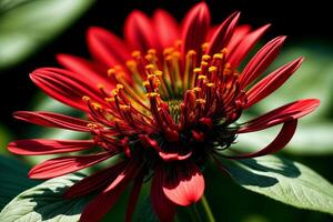 Vibrant Details Realistic Echinacea in Captivating Colors. AI Generated. photo