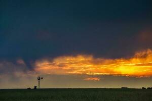 Storm rain  in rural landscape, La Pampa Province, Patagonia, Argentina. photo