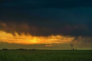 tormenta paisaje, en pampa campo, buenos aires provincia, argentina. foto