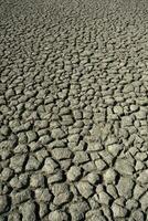 Broken soil in Pampas environment , Patagonia, Argentina. photo