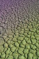 Broken soil in Pampas environment , Patagonia, Argentina. photo