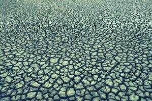 Dry soil in Pampas environment , Patagonia, Argentina. photo