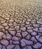 Broken soil in Pampas environment , Patagonia, Argentina. photo