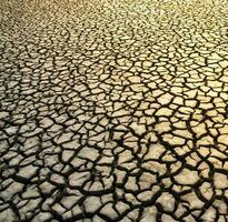 Broken soil in Pampas environment , Patagonia, Argentina. photo