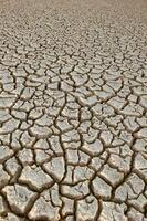 roto suelo en pampa ambiente , Patagonia, argentina. foto