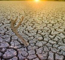 Broken soil in Pampas environment , Patagonia, Argentina. photo