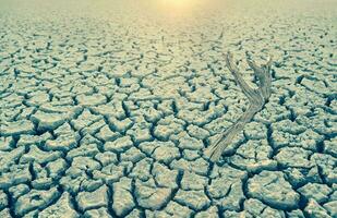 Broken soil in Pampas environment , Patagonia, Argentina. photo