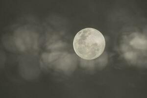 Moon in the night sky , Background photo