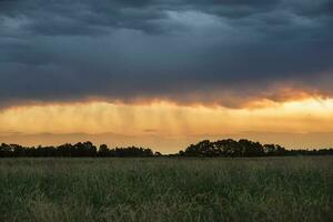 Storm Landscape, in Pampas Countryside, Buenos Aires Province, Argentina. photo