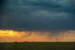 Storm Landscape, in Pampas Countryside, Buenos Aires Province, Argentina. photo