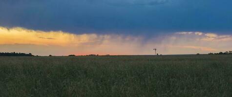 Pampas storm landscape, La pampa Province, Patagonia , Argentina photo