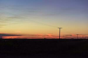 pampa puesta de sol paisaje, la pampa, argentina foto