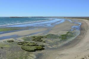 Low tide beach, Peninsula Valdes, Patagonia, Argentina photo