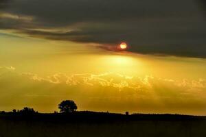 Pampas sunset landscape, La pampa, Argentina photo