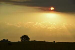 Pampas sunset landscape, La pampa, Argentina photo