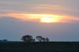 Pampas sunset landscape, La pampa, Argentina photo