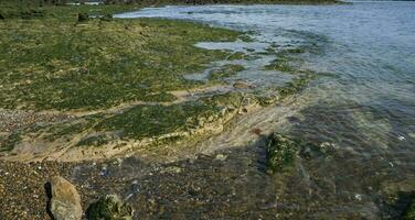 Stone shoal at low tide, Peninsula Valdes, Patagonia, Argentina photo