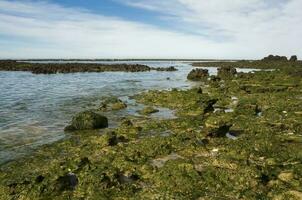 Stone shoal at low tide, Peninsula Valdes, Patagonia, Argentina photo