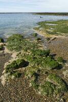 Stone shoal at low tide, Peninsula Valdes, Patagonia, Argentina photo