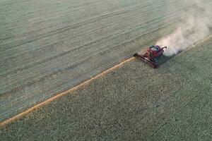 Barley harvest aerial view, in La Pampa, Argentina. photo