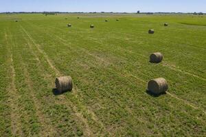Grass bale, grass storage in La Pampa countryside, Patagonia,Argentina. photo