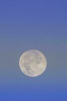 Full moon, Patagonia, Argentina photo