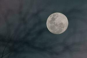 Full moon, Patagonia, Argentina photo