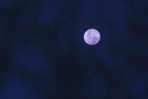 lleno luna, Patagonia, argentina foto
