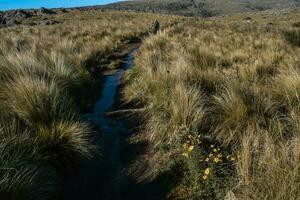 Quebrada del Condorito  National Park,Cordoba province, Argentina photo