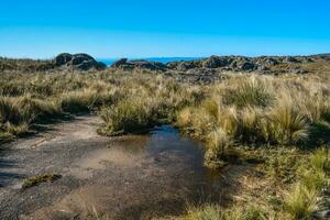 quebrada del condorito nacional parque, córdoba provincia, argentina foto