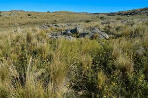 Quebrada del Condorito  National Park landscape,Cordoba province, Argentina photo