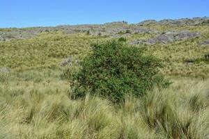 Quebrada del Condorito  National Park landscape,Cordoba province, Argentina photo