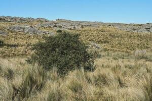 Quebrada del Condorito  National Park landscape,Cordoba province, Argentina photo