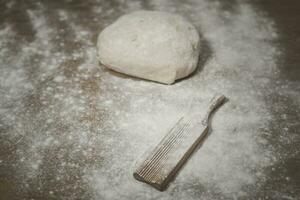 Homemade gnocchi, traditional Italian cuisine photo