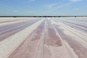 Salty lagoon prepared to extract raw salt, mining industry in Argentina photo