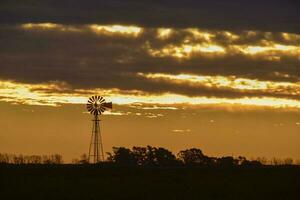 Landscape with windmill at sunset, Pampas, Patagonia,Argentina photo