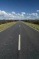 Route in the Pampas plain, Patagonia, Argentina photo