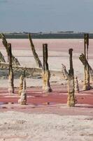 Historical remains of old salt exploitation, Salinas Grande, La Pampa, Argentina. photo