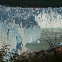 Perito Moreno Glacier, Los Glaciares National Park, Santa Cruz Province, Patagonia Argentina. photo