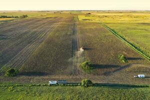 Harvester in Pampas Countryside, aerial view, La Pampa province, Argentina. photo