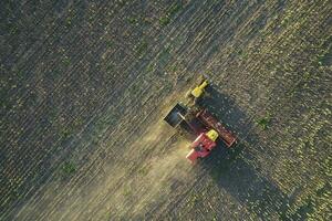 Harvester in Pampas Countryside, aerial view, La Pampa province, Argentina. photo