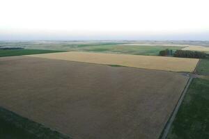 maíz cultivo campo, aéreo ver , buenos aires provincia, argentina. foto