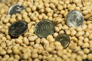 Argentine pesos banknotes and coins and soy beans, commoditi value concept. photo