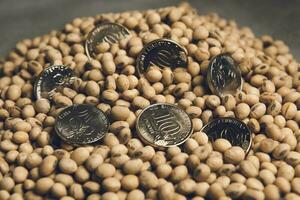 Dollars banknotes and coins and soy beans, commoditi value concept. photo