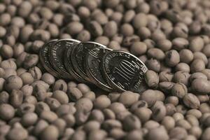 Dollars banknotes and coins and soy beans, commoditi value concept. photo