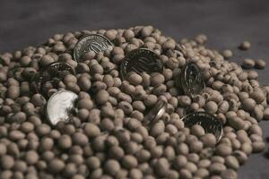 Dollars banknotes and coins and soy beans, commoditi value concept. photo