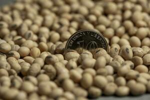 Dollars banknotes and coins and soy beans,oleaginous commoditi value concept. photo