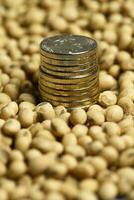 Dollars banknotes and coins and soy beans, commoditi value concept. photo