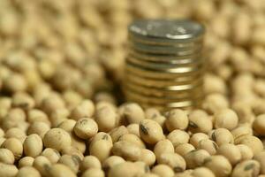 Dollars banknotes and coins and soy beans,oleaginous commoditi value concept. photo